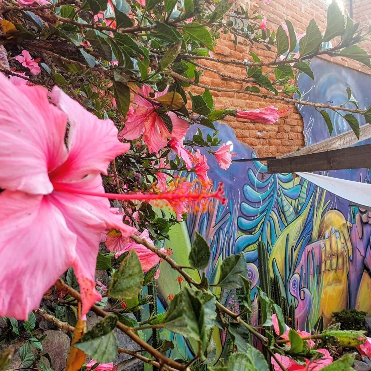La Casa Piola Vandrarhem Valparaíso Exteriör bild